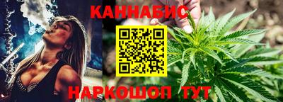 гашик Новозыбков