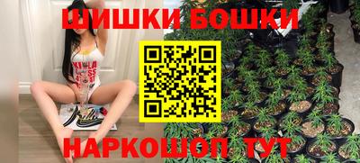 гашик Новозыбков