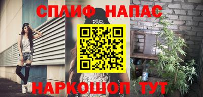 гашик Новозыбков