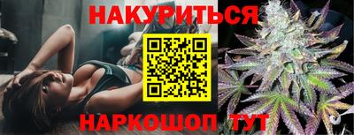 гашик Новозыбков