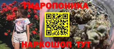 соль курить ск Новодвинск