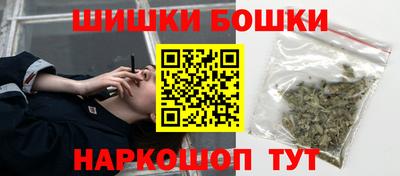 гашик Новозыбков