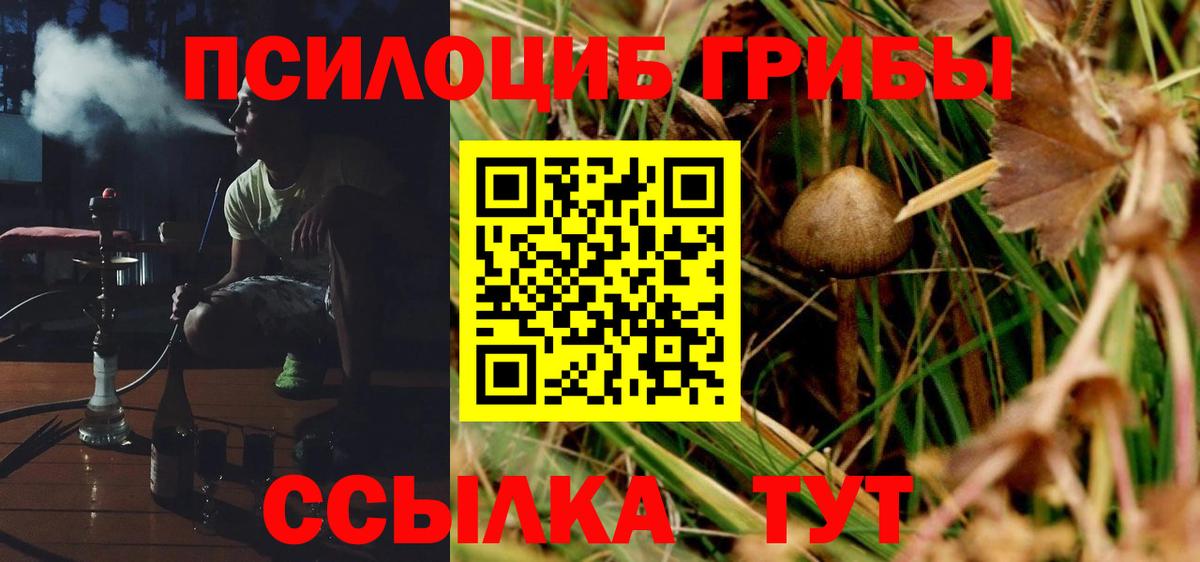 Псилоцибиновые грибы Cubensis  Псилоцибиновые грибы Psilocybine cubensis  Рассказово  как найти   Вход с VPN 