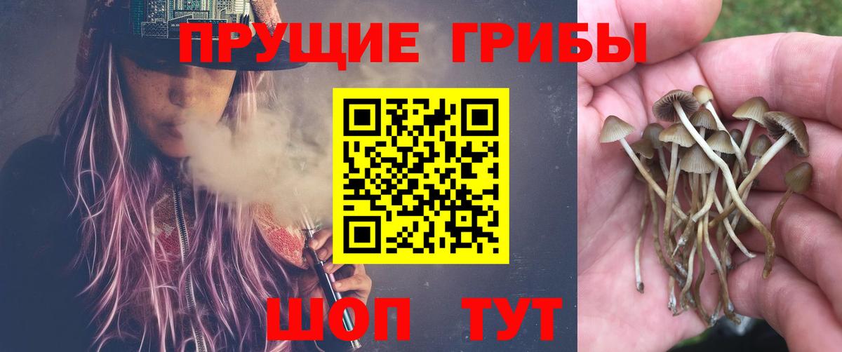 Галлюциногенные грибы мицелий Рассказово